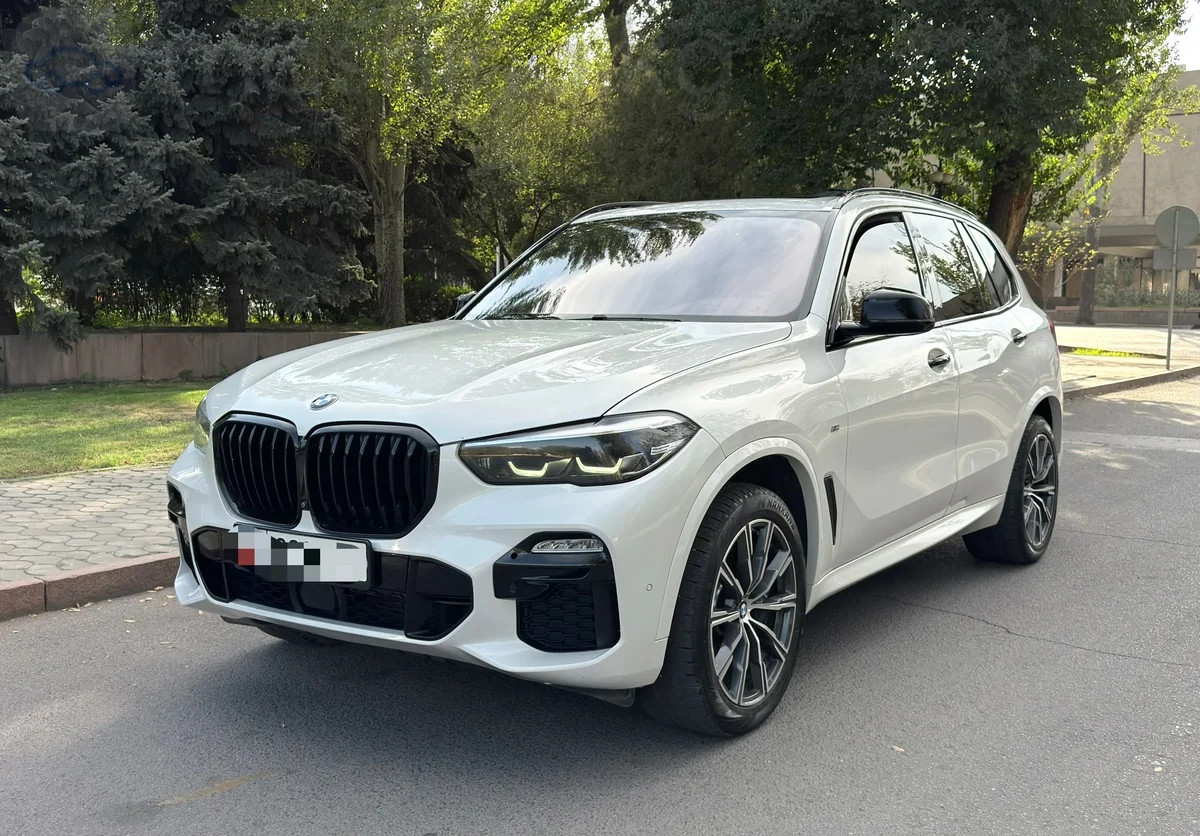 BMW X5 IV (G05/G18) 30d 3.0d AT 4WD, 2019