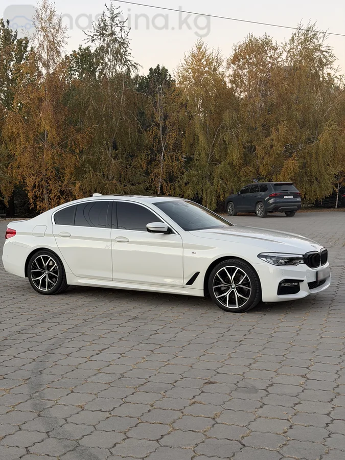 BMW 5 серии VII (G30/G31) 520d xDrive 2.0d AT 4WD, 2020