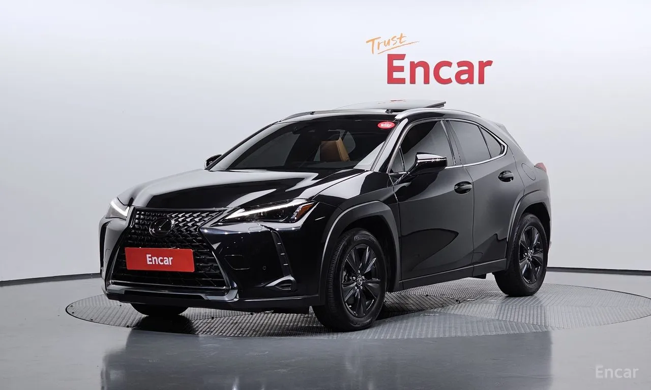 Lexus UX 2.0 2WD, 2024